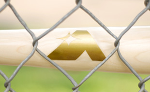 Custom Wood Baseball Bats