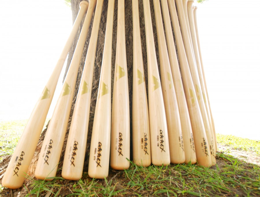 What Are Your Thoughts On Ash Bats?