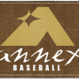 Annex Wooden Bats in Amateur Baseball